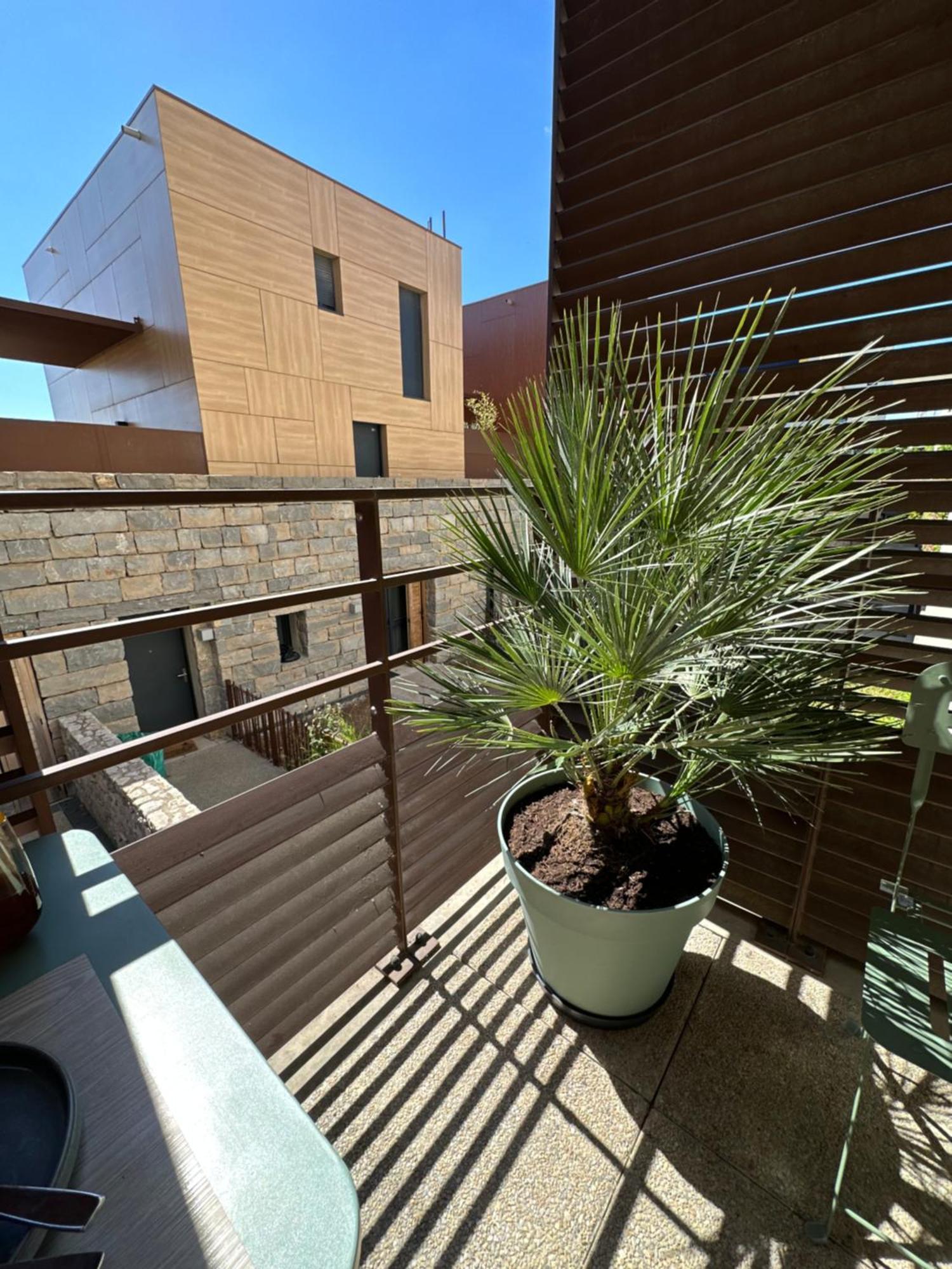 Appartement Charmant Au Porte De Montpellier サン・ジャン・ド・ヴェダ エクステリア 写真